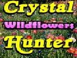 Jouer à Crystal hunter wildflowers