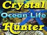 Jouer à Sssg - crystal hunter ocean life