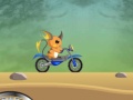 Jouer à Raichu ride