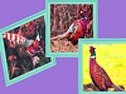 Jouer à Pheasants in the woods puzzle