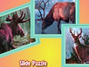 Jouer à Reindeers in jungle puzzle