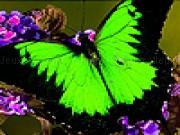 Jouer à Green garden butterflies puzzle