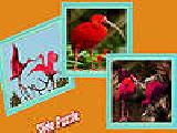 Jouer à Scarlet ibis in the tropic island puzzle