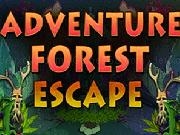 Jouer à Adventure Forest Escape