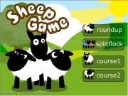 Jouer à Sheep game